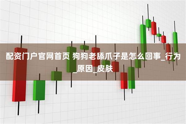 配资门户官网首页 狗狗老舔爪子是怎么回事_行为_原因_皮肤