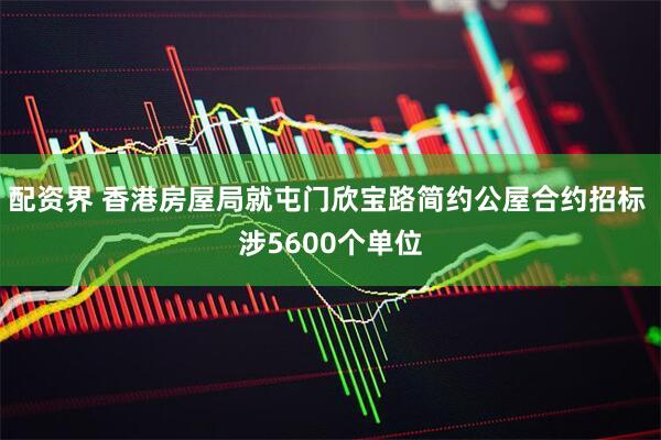 配资界 香港房屋局就屯门欣宝路简约公屋合约招标 涉5600个单位