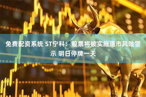 免费配资系统 ST宁科：股票将被实施退市风险警示 明日停牌一天